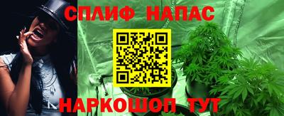 прущие грибы Моздок