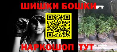прущие грибы Моздок