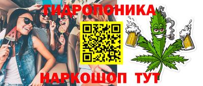 прущие грибы Моздок