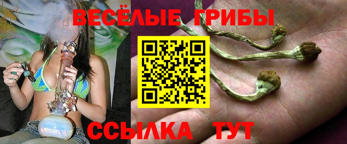 Галлюциногенные грибы мухоморы Холмск
