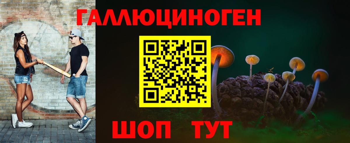 Псилоцибиновые грибы Magic Shrooms  Вход с VPN  Холмск  Псилоцибиновые грибы Psilocybe 